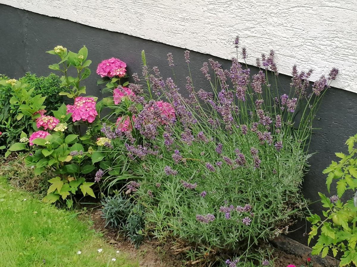 Ferienwohnung Einbeck Fewo B Nolte Luaran gambar